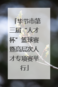 毕节市第三届“人才杯”篮球赛暨高层次人才专项赛举行