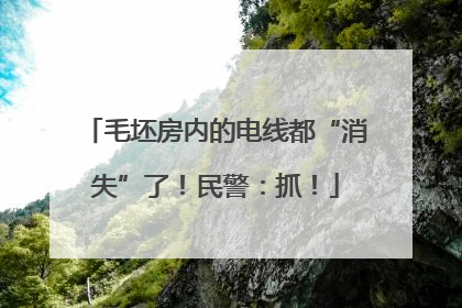 毛坯房内的电线都“消失”了！民警：抓！