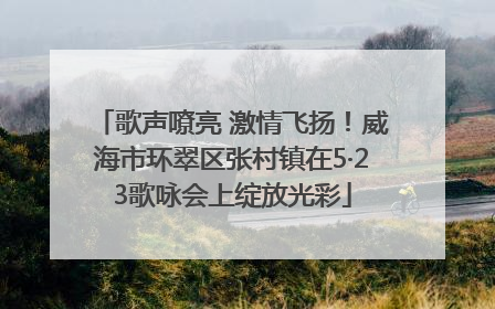 歌声嘹亮 激情飞扬！威海市环翠区张村镇在5·23歌咏会上绽放光彩