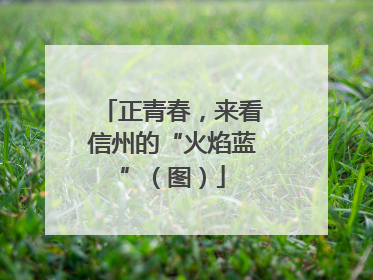 正青春，来看信州的“火焰蓝”（图）
