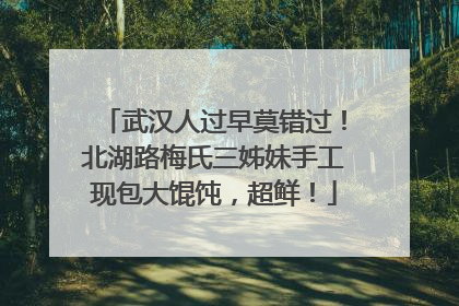武汉人过早莫错过！北湖路梅氏三姊妹手工现包大馄饨，超鲜！