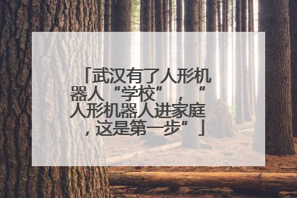 武汉有了人形机器人“学校”，“人形机器人进家庭，这是第一步”