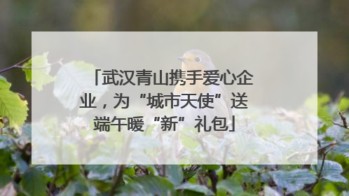 武汉青山携手爱心企业，为“城市天使”送端午暖“新”礼包