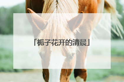 栀子花开的清晨