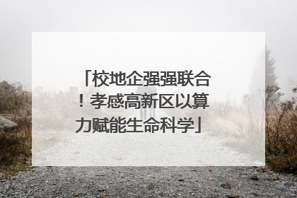 校地企强强联合！孝感高新区以算力赋能生命科学