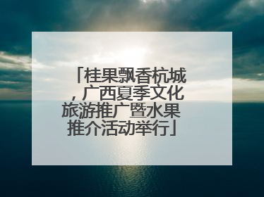 桂果飘香杭城，广西夏季文化旅游推广暨水果推介活动举行