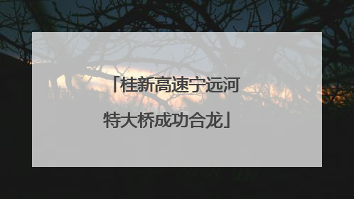 桂新高速宁远河特大桥成功合龙