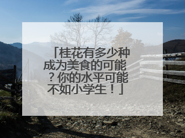 桂花有多少种成为美食的可能？你的水平可能不如小学生！