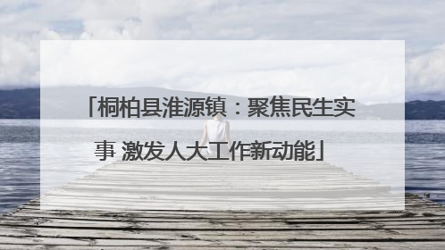 桐柏县淮源镇：聚焦民生实事 激发人大工作新动能