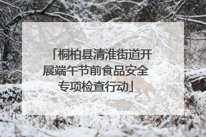 桐柏县清淮街道开展端午节前食品安全专项检查行动