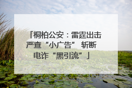 桐柏公安：雷霆出击严查“小广告” 斩断电诈“黑引流”