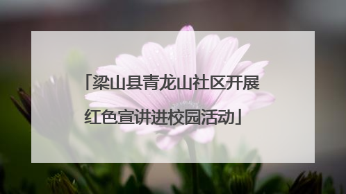 梁山县青龙山社区开展红色宣讲进校园活动