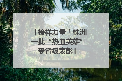 榜样力量！株洲一批“热血英雄”受省级表彰