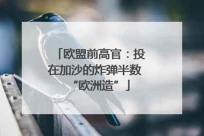 欧盟前高官：投在加沙的炸弹半数“欧洲造”