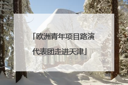 欧洲青年项目路演代表团走进天津
