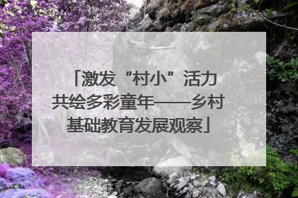 激发“村小”活力 共绘多彩童年——乡村基础教育发展观察
