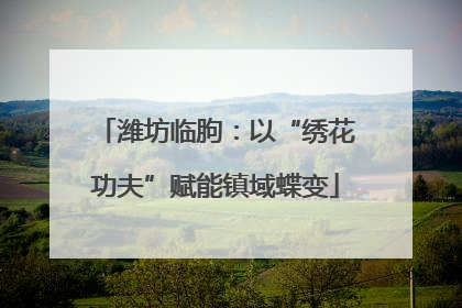 潍坊临朐：以“绣花功夫”赋能镇域蝶变