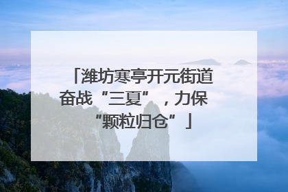潍坊寒亭开元街道奋战“三夏”，力保“颗粒归仓”