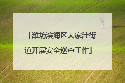 潍坊滨海区大家洼街道开展安全巡查工作