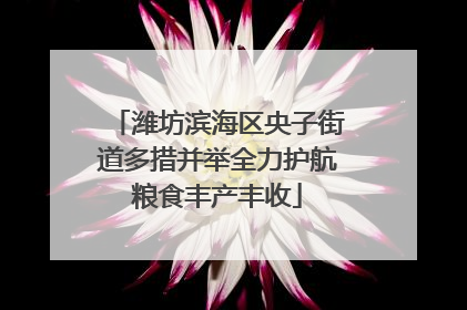 潍坊滨海区央子街道多措并举全力护航粮食丰产丰收