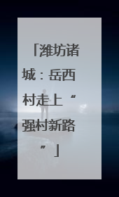 潍坊诸城：岳西村走上“强村新路”