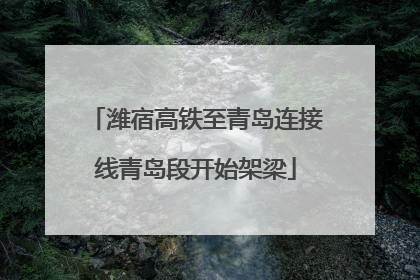 潍宿高铁至青岛连接线青岛段开始架梁