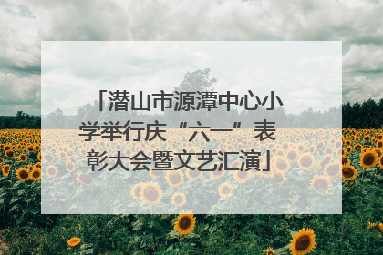 潜山市源潭中心小学举行庆“六一”表彰大会暨文艺汇演