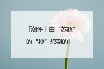 潮评丨由“苏超”的“梗”想到的