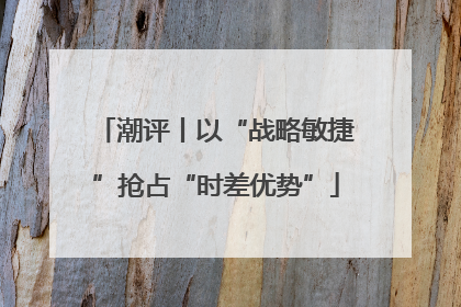 潮评丨以“战略敏捷”抢占“时差优势”