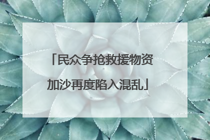 民众争抢救援物资 加沙再度陷入混乱