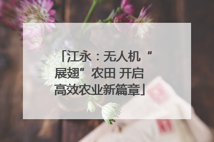 江永：无人机“展翅”农田 开启高效农业新篇章