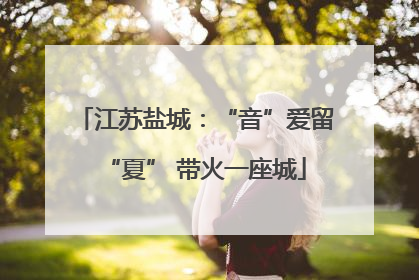 江苏盐城：“音”爱留“夏” 带火一座城