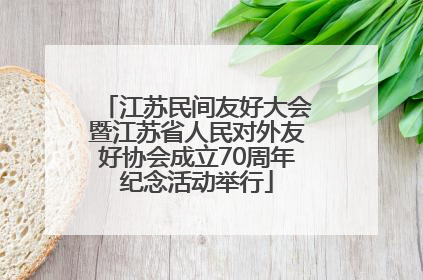 江苏民间友好大会暨江苏省人民对外友好协会成立70周年纪念活动举行