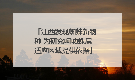 江西发现蜘蛛新物种 为研究呵叻蛛属适应区域提供依据
