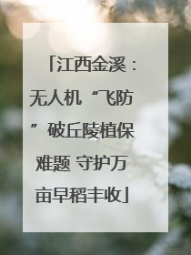 江西金溪：无人机“飞防”破丘陵植保难题 守护万亩早稻丰收