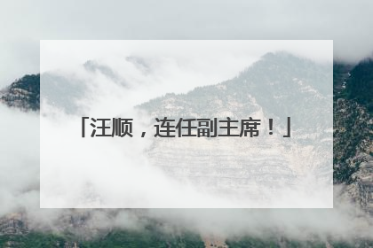 汪顺，连任副主席！
