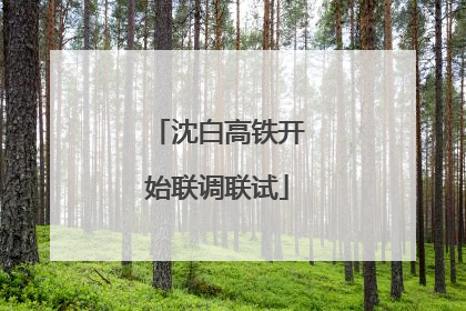 沈白高铁开始联调联试