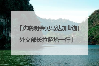 沈晓明会见马达加斯加外交部长拉萨塔一行