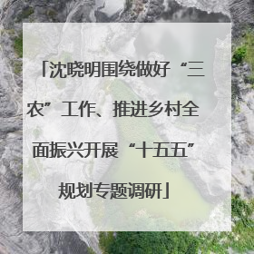 沈晓明围绕做好“三农”工作、推进乡村全面振兴开展“十五五”规划专题调研