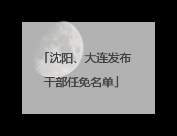 沈阳、大连发布干部任免名单