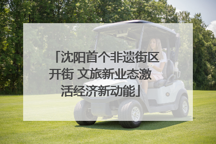 沈阳首个非遗街区开街 文旅新业态激活经济新动能