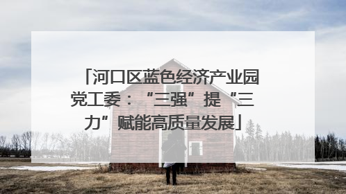河口区蓝色经济产业园党工委：“三强”提“三力”赋能高质量发展