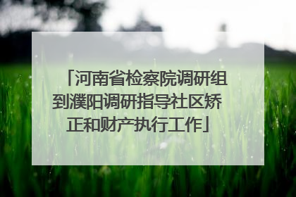 河南省检察院调研组到濮阳调研指导社区矫正和财产执行工作
