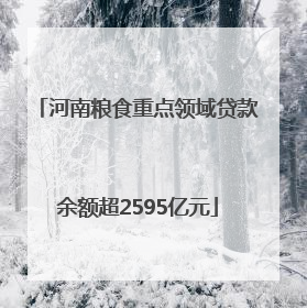 河南粮食重点领域贷款余额超2595亿元