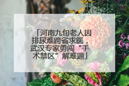 河南九旬老人因排尿难跨省求医，武汉专家勇闯“手术禁区”解难题
