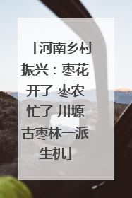河南乡村振兴：枣花开了 枣农忙了 川塬古枣林一派生机