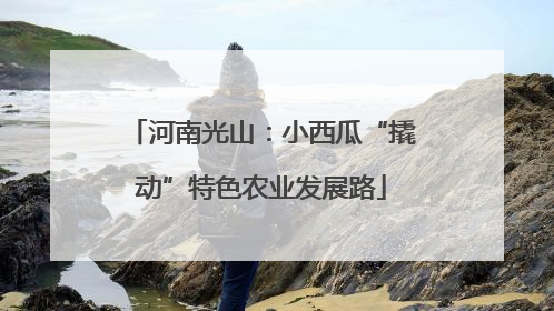 河南光山：小西瓜“撬动”特色农业发展路
