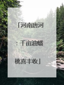 河南唐河：千亩油蟠桃喜丰收