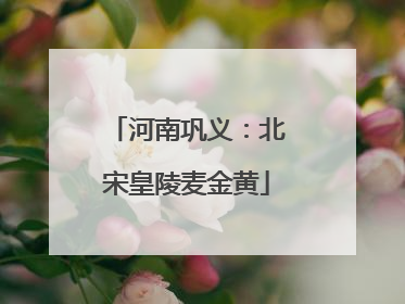 河南巩义：北宋皇陵麦金黄