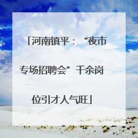 河南镇平：“夜市专场招聘会”千余岗位引才人气旺